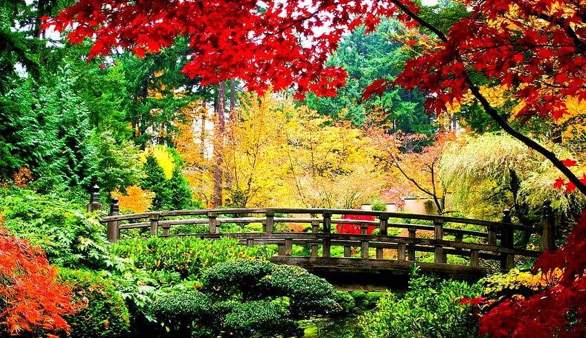 Hermosa naturaleza japonesa, lugares naturales fondo de pantalla