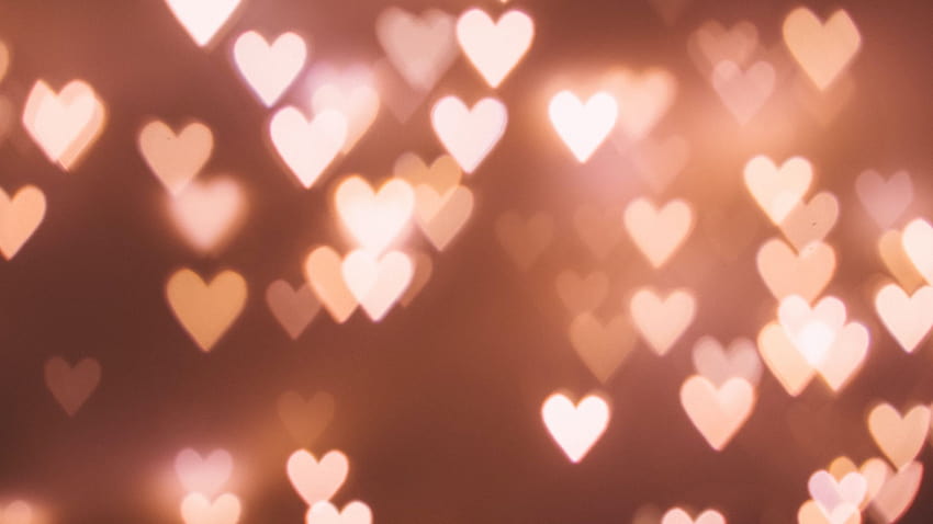 Die besten Valentinstag-Zoom-Hintergründe, Valentinstag süß einfach HD-Hintergrundbild