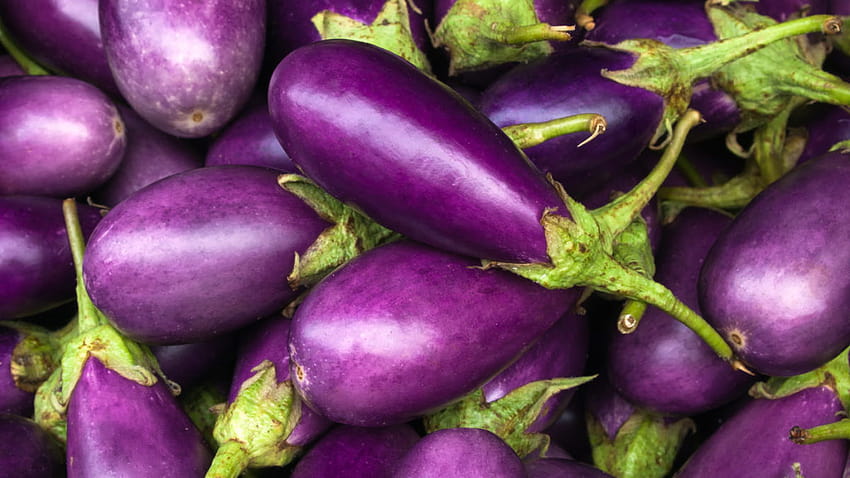 Cooking Eggplant: What Mistakes Should You Avoid?, aesthetic eggplant HD wallpaper
