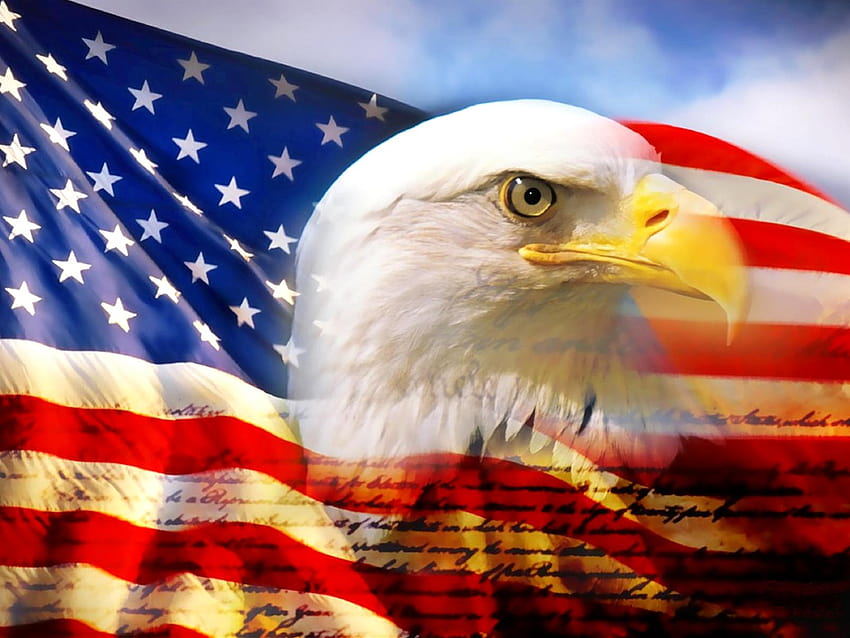 Of American Flag With Eagle, cool eagle flags HD wallpaper