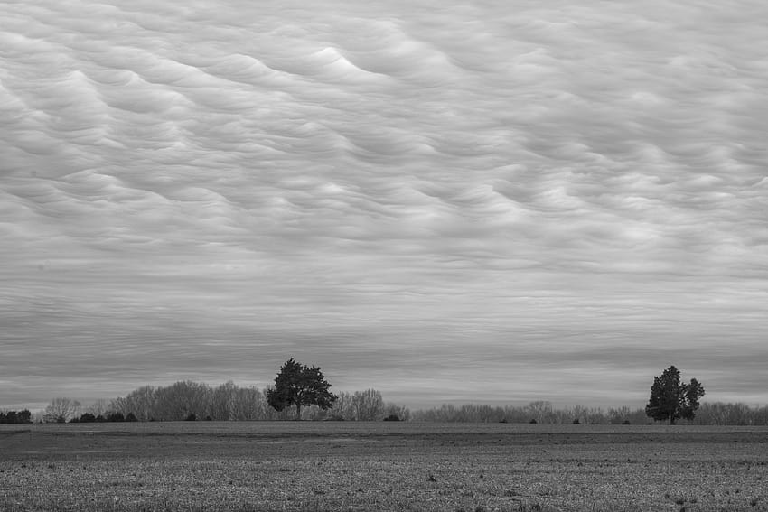 : Wolken, Schwarzweiß, monoton, minimal, Minimalismus, Landschaft, Bauernhof 6000x4000 HD-Hintergrundbild