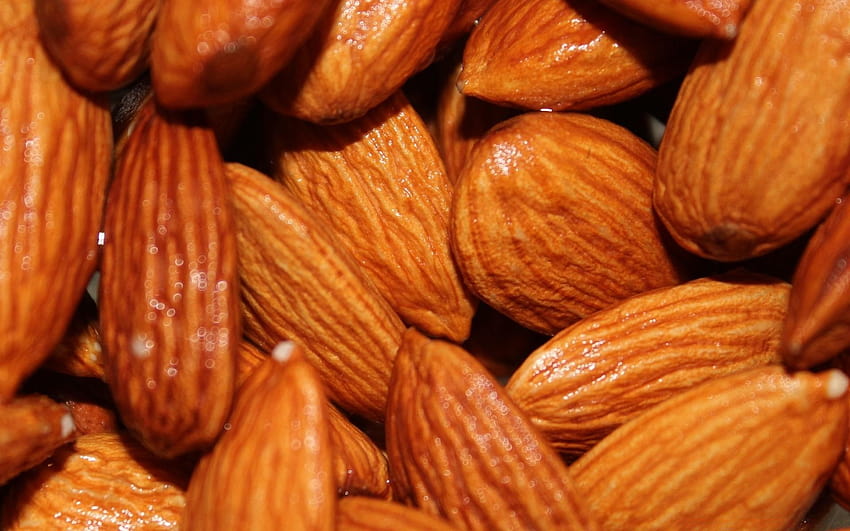 Almonds, dry seeds HD wallpaper