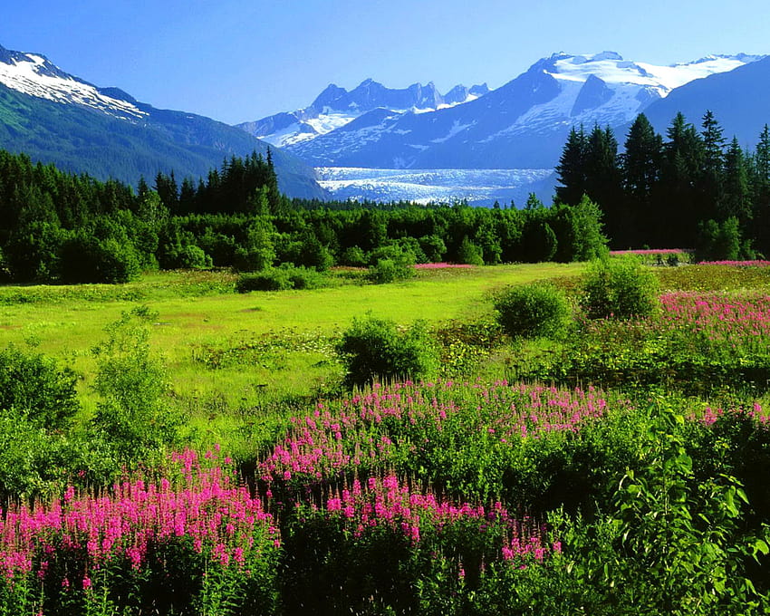 Alaska From A Distance : : High, alaska in spring HD wallpaper