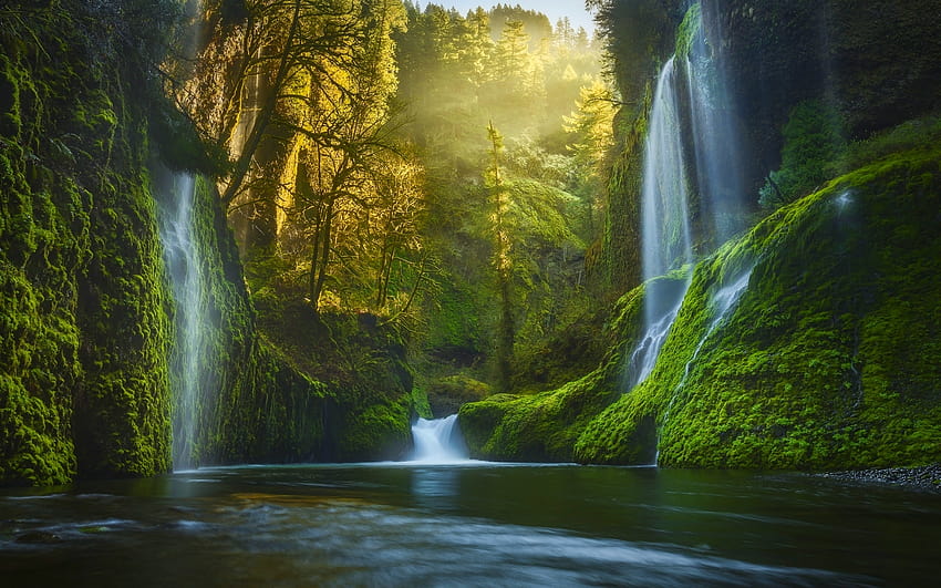 lumut, sungai, hutan, kabut, hijau, Oregon, matahari terbit, indah, matahari terbit air terjun Wallpaper HD