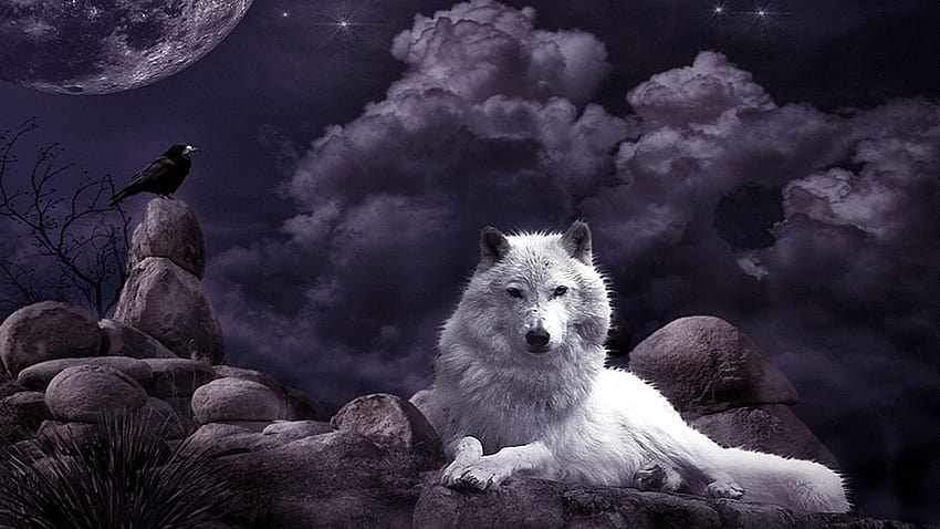 Le loup le corbeau et la lune, le loup et la lune Fond d'écran HD