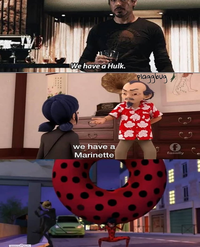 memes miraculous ladybug (@hue.miraculous.br)