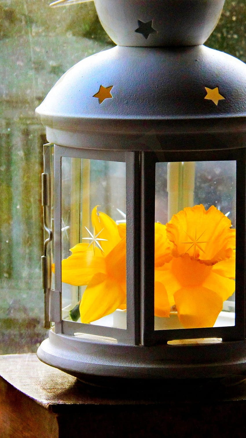1080x1920 autunno, primavera, carta, fiore, narciso, finestra, lanterna, foglie, gocce, lanterna 6270, lanterna primaverile Sfondo del telefono HD