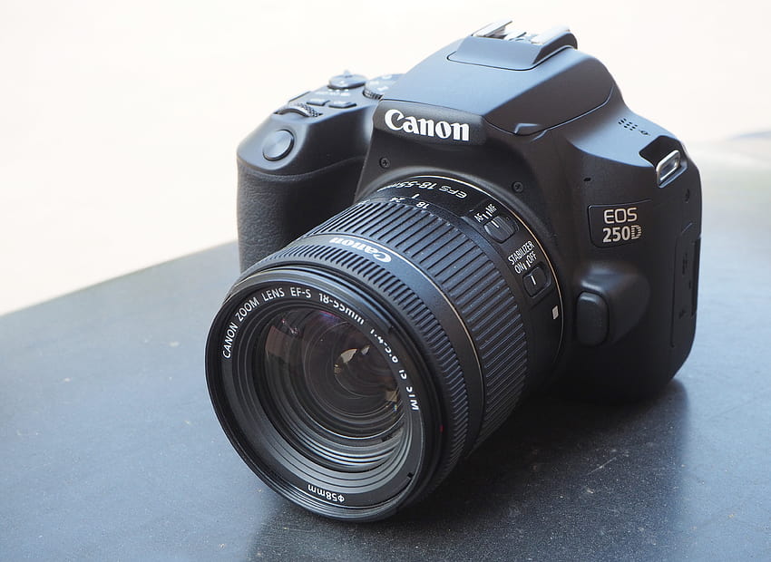 Échantillon Canon EOS 250D, reflex numérique canon Fond d'écran HD