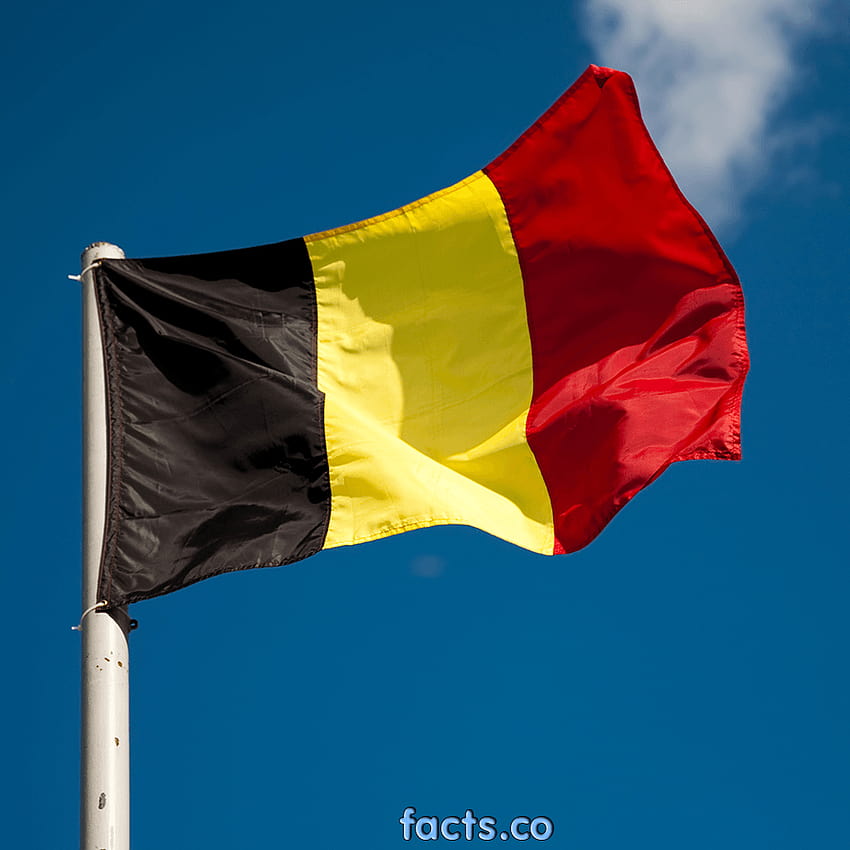 Flagge Belgiens, belgische Flagge HD-Handy-Hintergrundbild