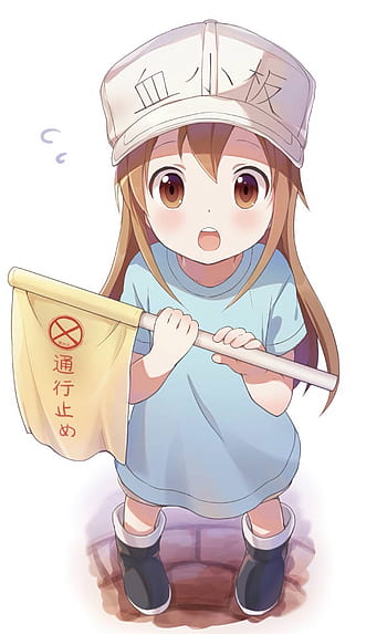 Pin de ᴍ ᴏ ᴄ ʜ ɪ em Hataraku Saibou  Personagens de anime, Anime kawaii,  Animes wallpapers