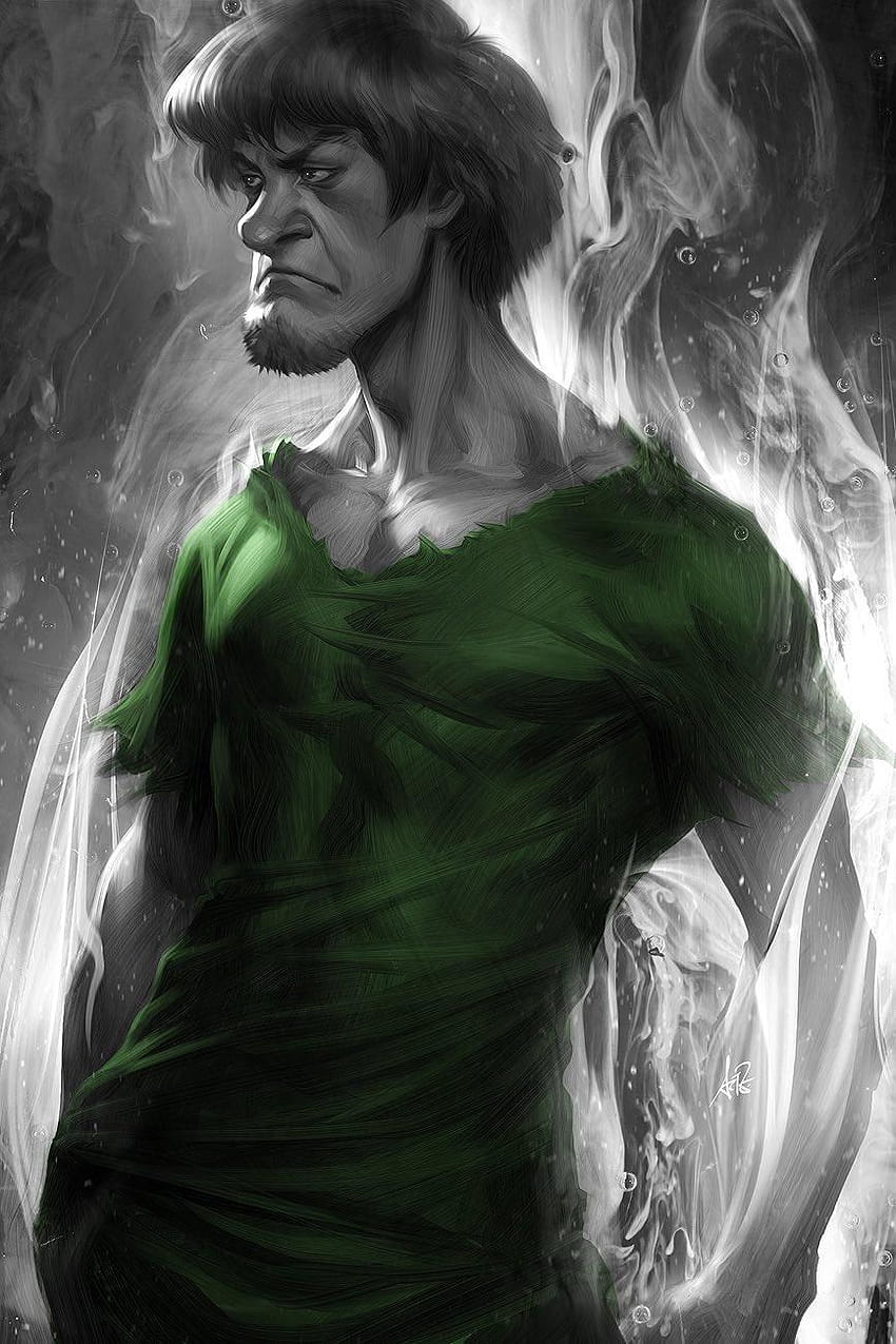 Pin on Character ideas, shaggy rogers HD phone wallpaper