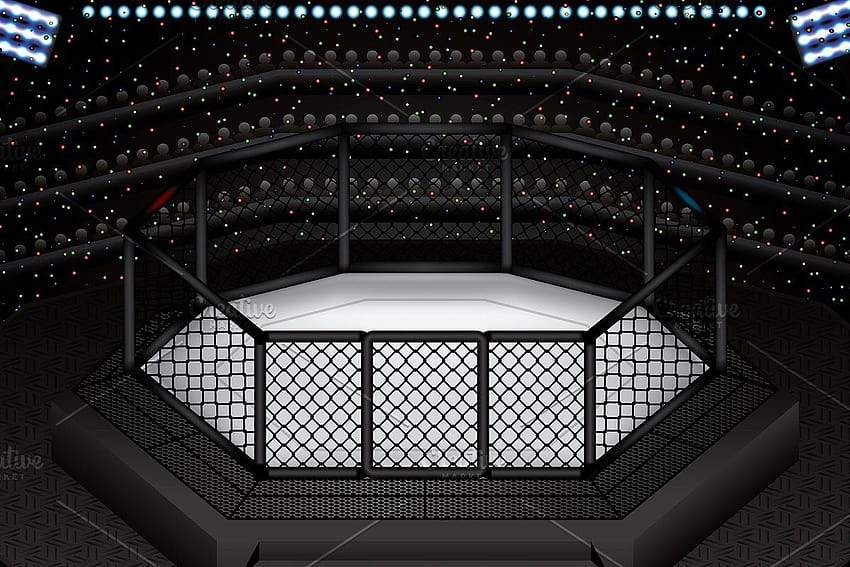 MMA octagon cage, ufc cage HD wallpaper