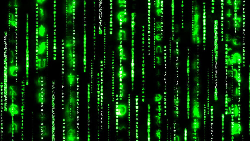 Live Binary Code, matrix rain HD wallpaper