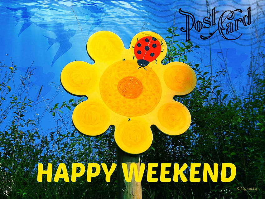 happy weekend card HQ 143633 [1600x1200] for your , Mobile & Tablet, happy saturday HD wallpaper