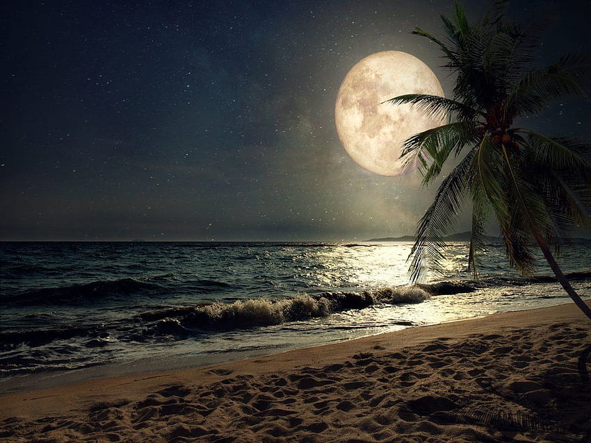 Moon Beach, full moon summer HD wallpaper