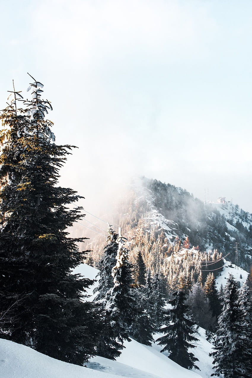 kar, karlı gün, Noel, günün manzarası, doğa, cennet, macera, keşfetmek, seyahat…, kar estetiği HD telefon duvar kağıdı