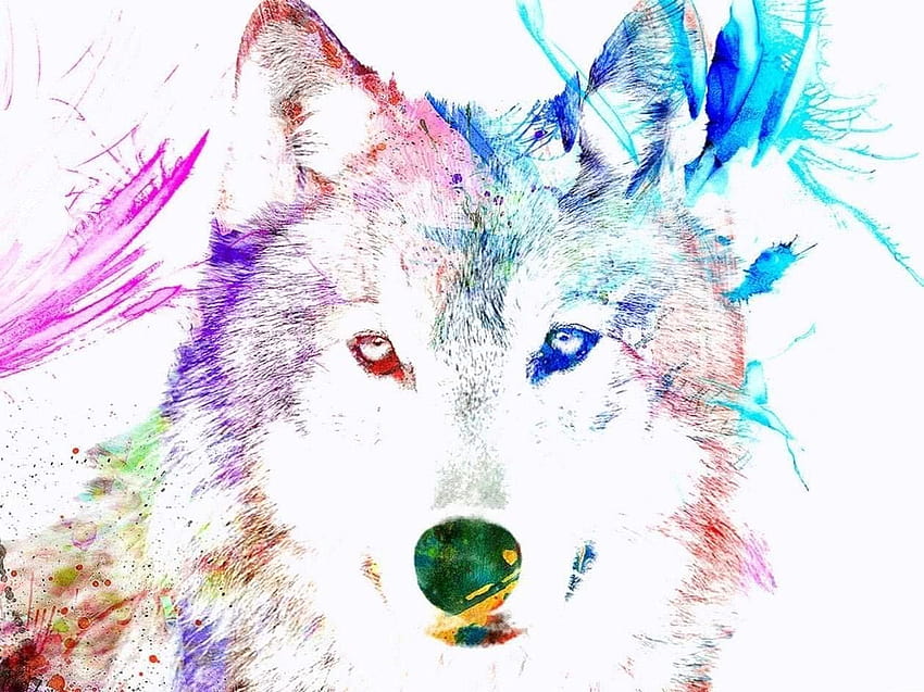 Wolf Watercolor, watercolour animal HD wallpaper