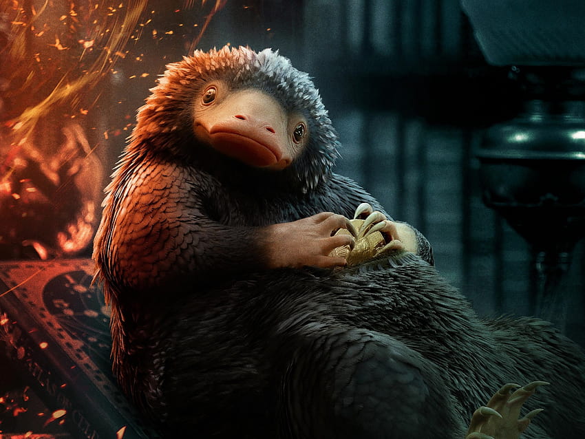 4 Phantastische Tierwesen: Die Geheimnisse von Dumbledore und Hintergründe HD-Hintergrundbild
