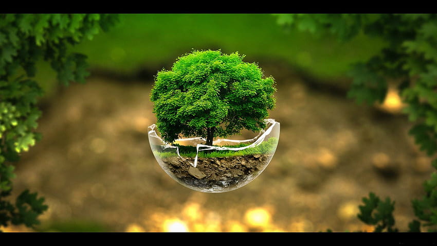 Sustainable, eco friendly HD wallpaper
