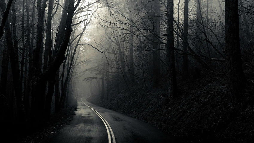 暗い森の完全な道と背景、暗い道 高画質の壁紙