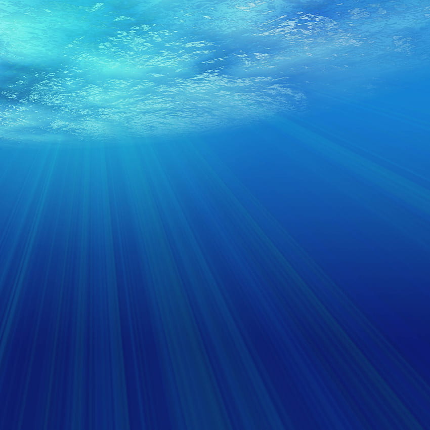 Ocean Underwater 20002152000 626954 [2000x2000] for your , Mobile & Tablet HD 전화 배경 화면