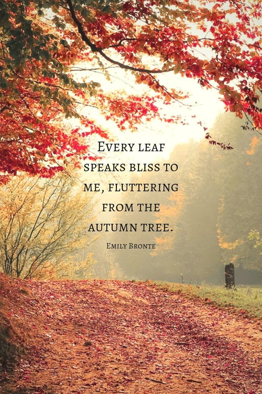 autumn-magic-autumn-cozy-autumn-fall-autumn-feeling-autumn-poems