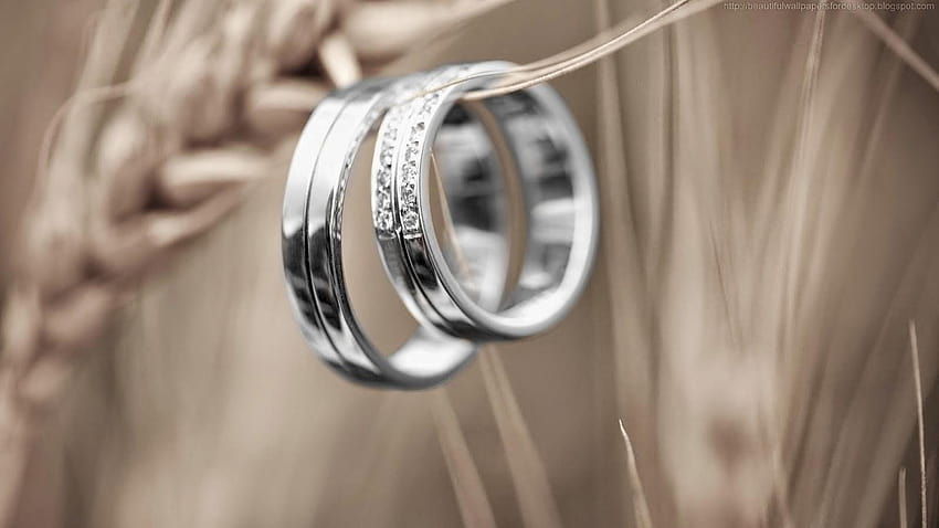 Годежни пръстени, брачна халка HD тапет