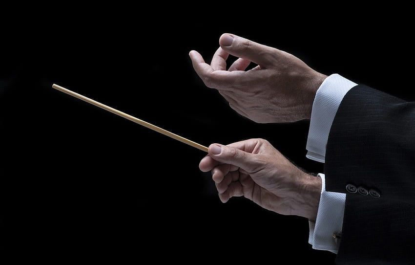 hands, orchestra, Conductor , section музыка HD wallpaper