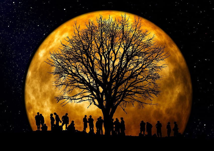 Silhueta de pessoas em pé em uma árvore organizada sob a lua · Estoque papel de parede HD