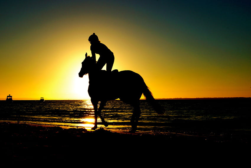 Silhouette of woman kneeling on horse beside body of water during