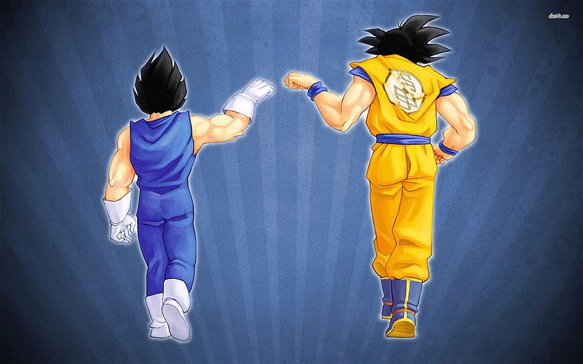 Goku i Vegeta zderzają się pięścią Full and Backgrounds, goku vegeta Tapeta HD
