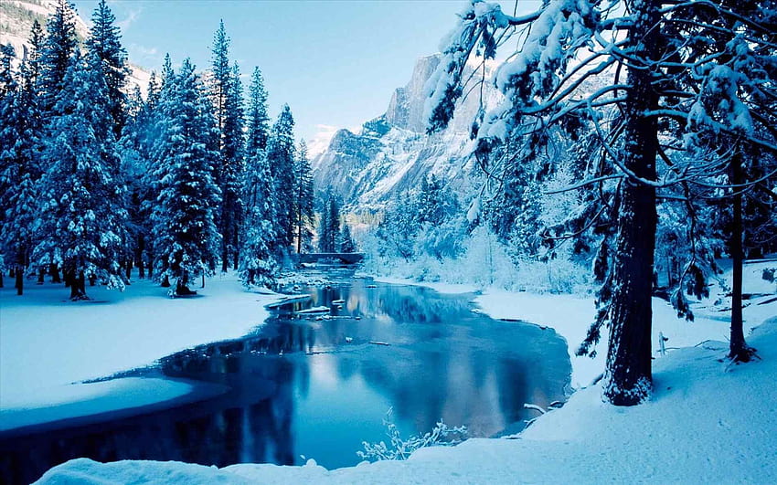 5 Winter Scenery : , for PC and Mobile HD wallpaper