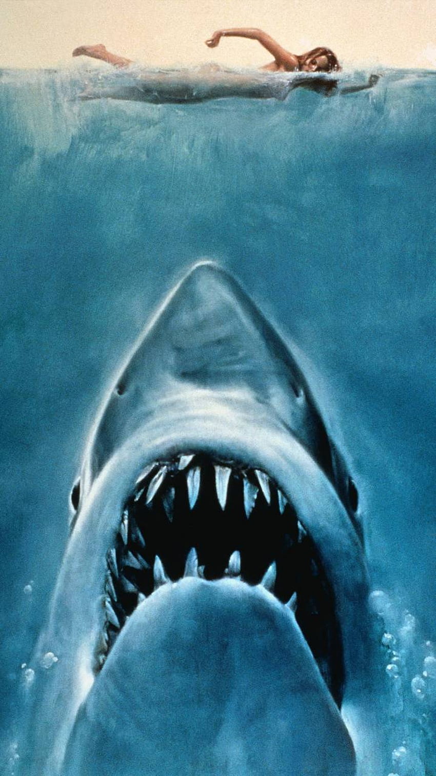 Shark by Chris5x, scary sharks HD phone wallpaper