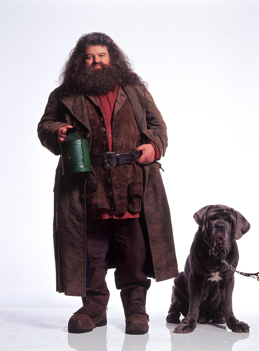 Rubeus Hagrid Hagrid and backgrounds HD phone wallpaper