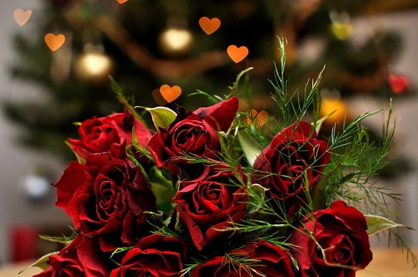 Latest Most Beautiful Red Rose with Romantic Love Quotes, red rose bokeh HD  wallpaper | Pxfuel