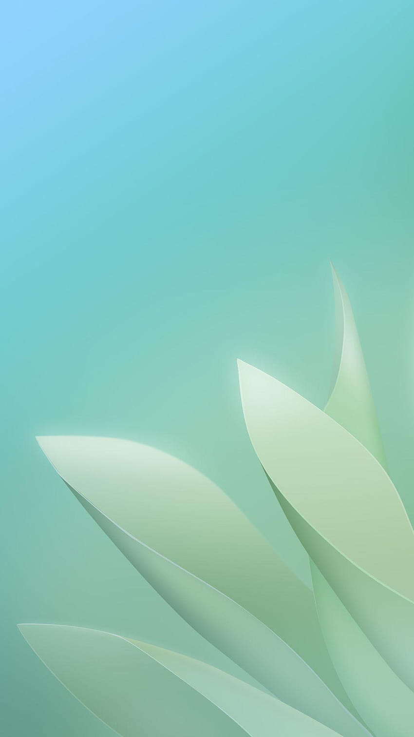 Sudut Kelopak Bunga Putih Latar Belakang Biru Muda Android, latar belakang android wallpaper ponsel HD
