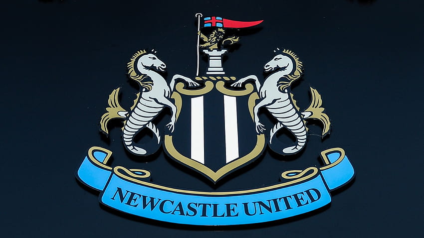 Who owns Newcastle United? Net worth, partner breakdown, club cost for richest club in the world HD wallpaper