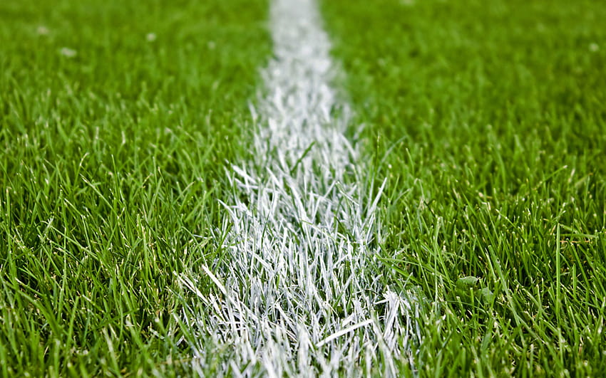 Sepak bola, rumput, lapangan, rumput sepak bola Wallpaper HD