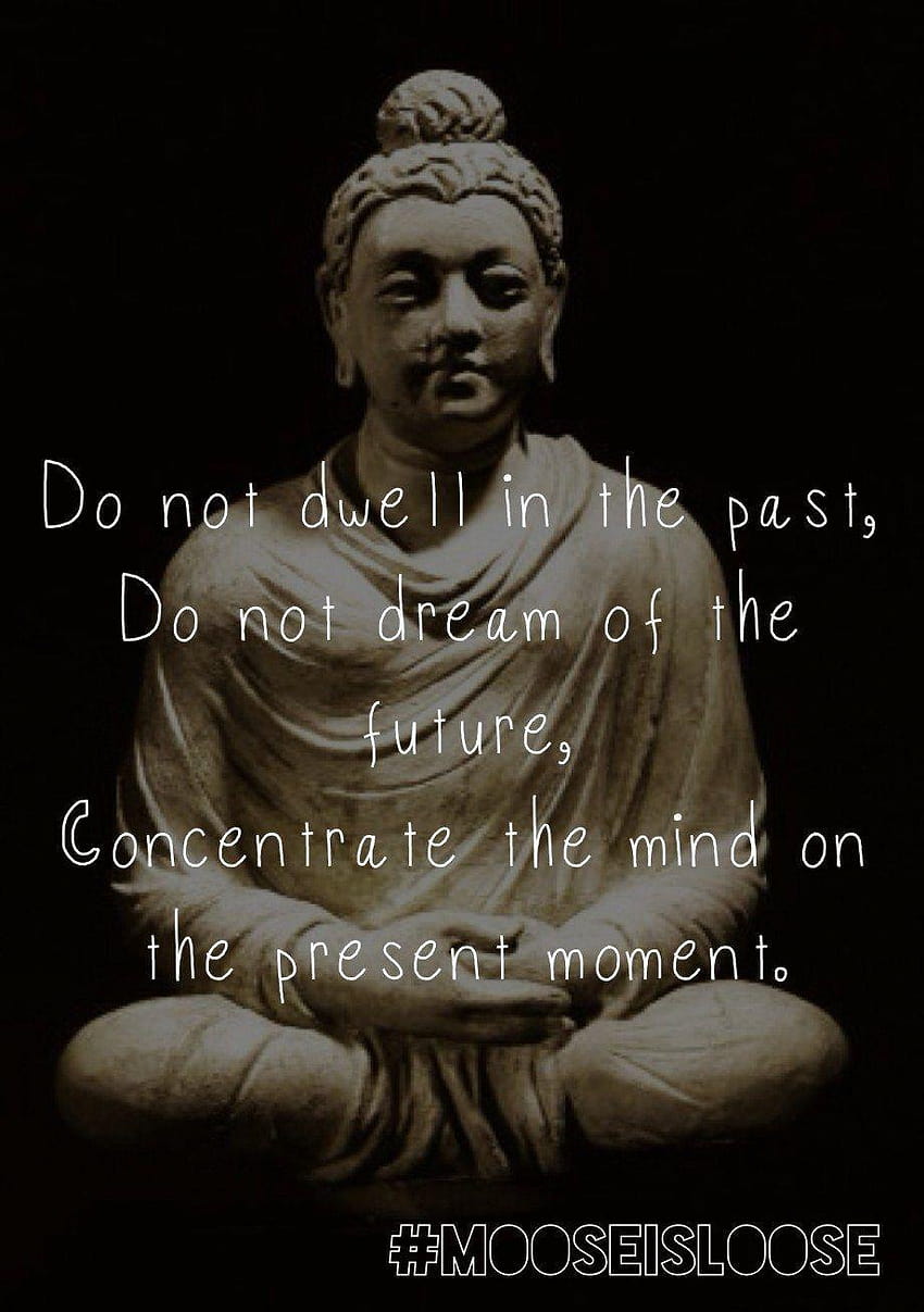 10 Awesome Buddha quotes that will inspire and motivate you ...