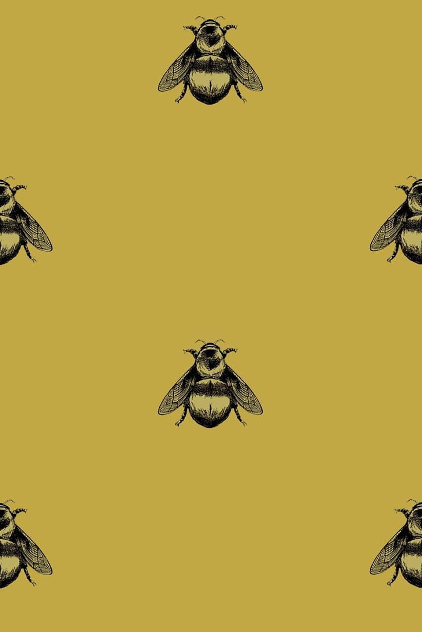 Napolyon Arı, bombus arıları HD telefon duvar kağıdı