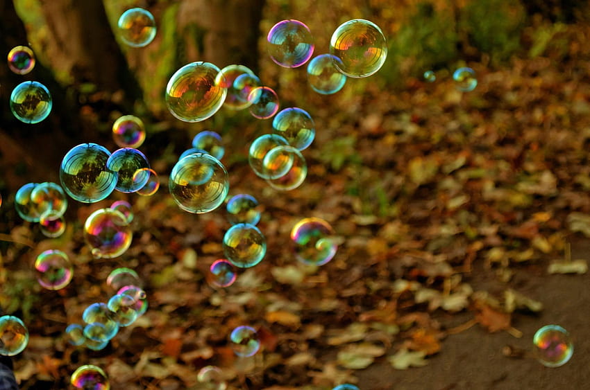 Close up of iridescent bubbles near dried leaves, colorful iridescent bubbles HD wallpaper