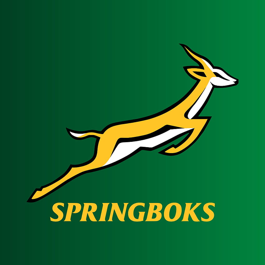 Springbok en cadera ... cadera fondo de pantalla del teléfono
