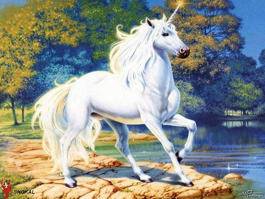 White Unicorn Illustration, Fantasy Art, Animal Themes, Horse • For You, fantasy horse HD wallpaper