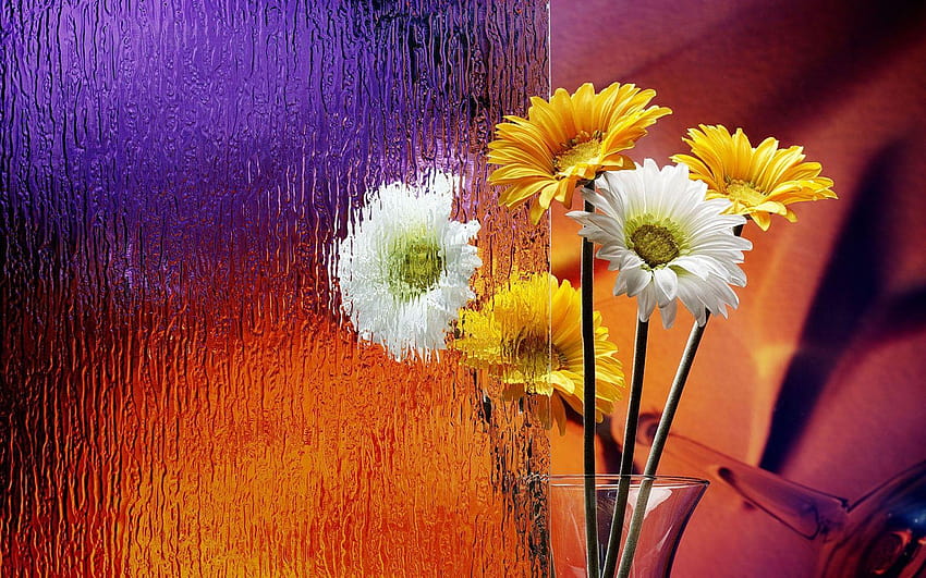 Flowers Flowerpot Frosted Glass, flower pot HD wallpaper
