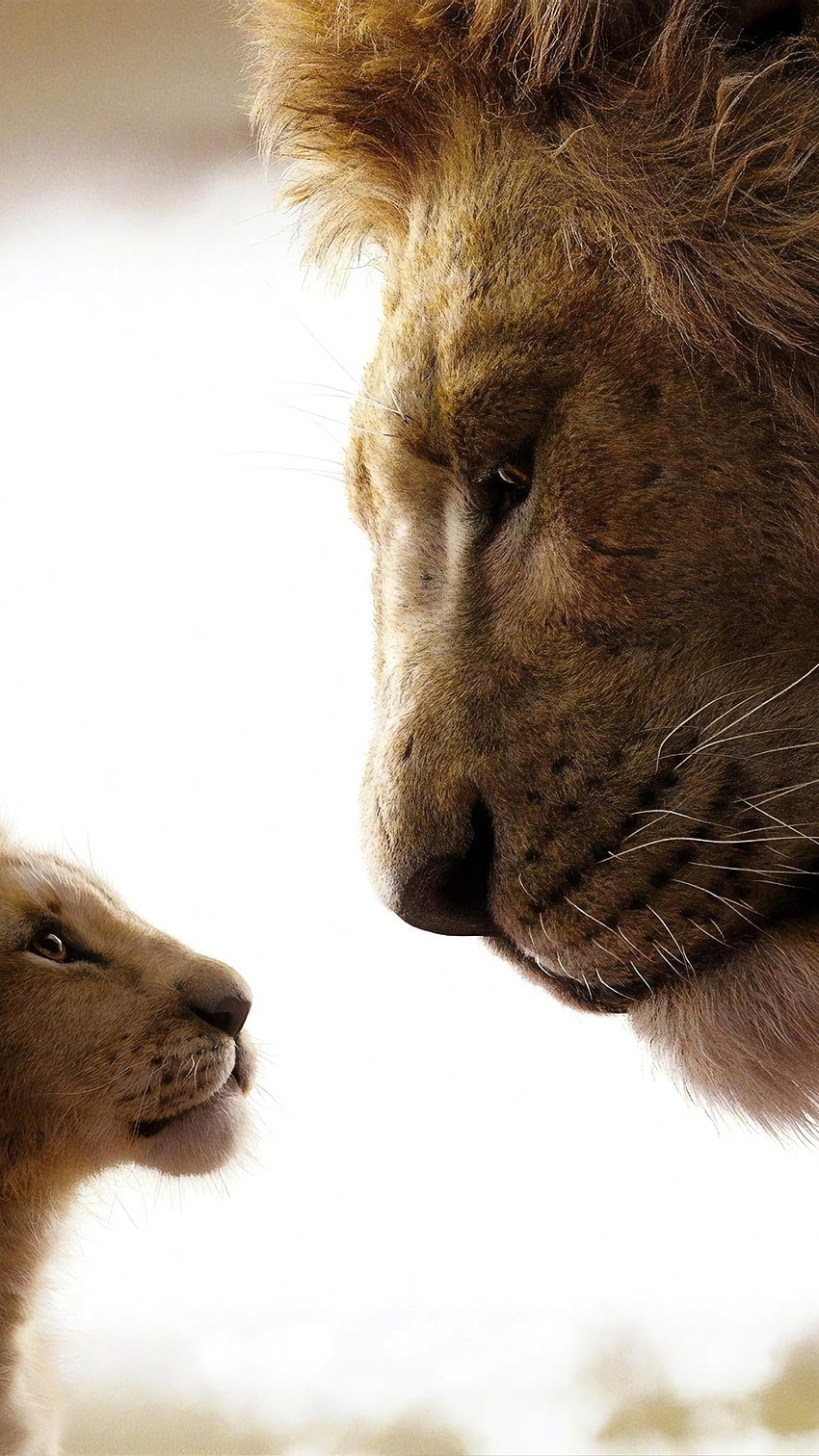 Il Re Leone, re leone amolizzato Sfondo del telefono HD
