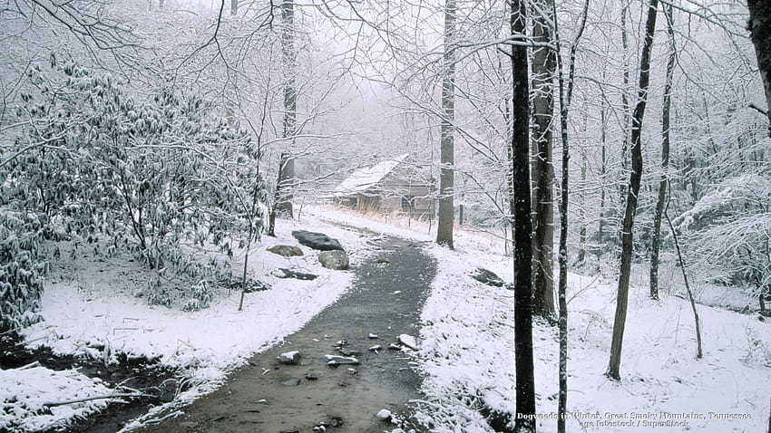 Smoky Mountain Winter HD wallpaper