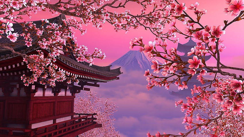 Японски дървета сакура, японско розово дърво HD тапет