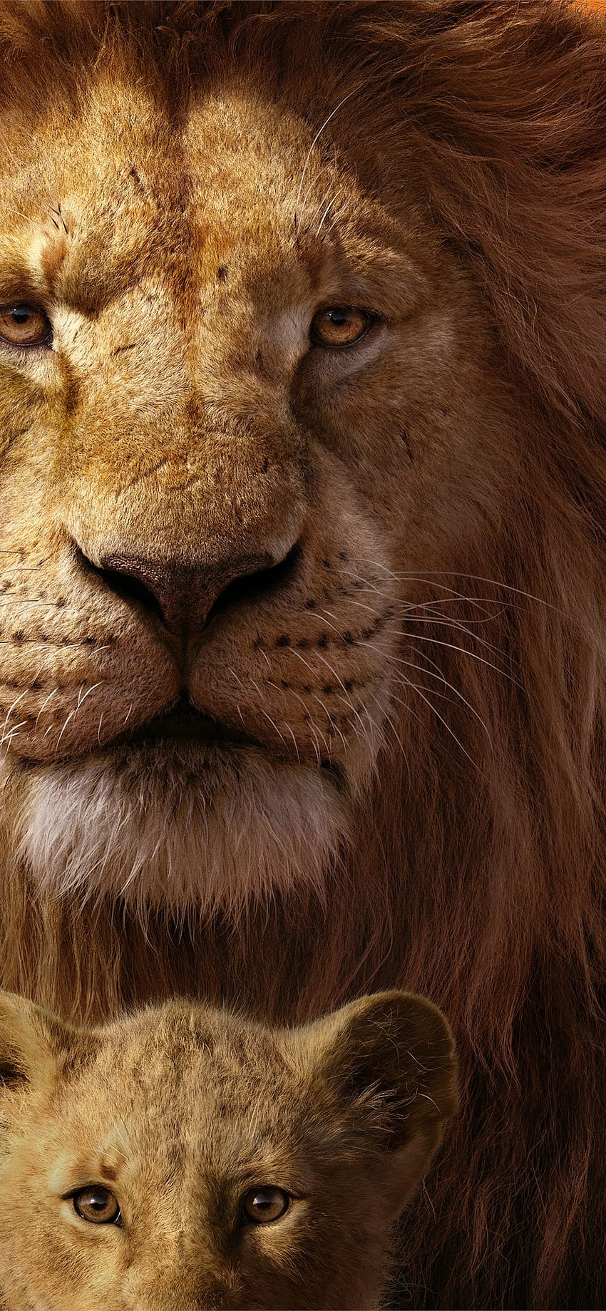 The Lion King 2019 Mufasa Simba Lion King 2019 ... iPhone วอลล์เปเปอร์โทรศัพท์ HD