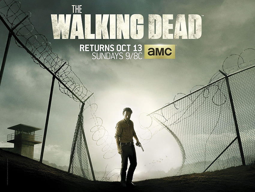 Walking Dead Phone Group, the walking dead season 3 HD wallpaper