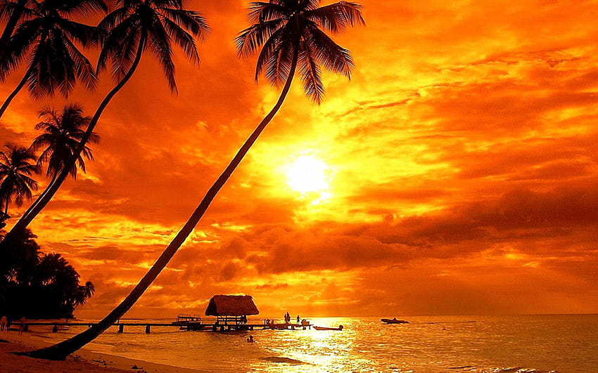 Bora Bora Tropical Sunset Beach Palm Trees Red Sky Clouds Ultra For Laptop Tablet Mobile Phones And Tv 3840х2400 : 13 HD wallpaper